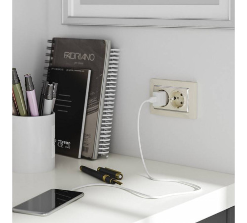 Розетка двойная с заземлением, без рамки Werkel слоновая кость W1172003 (слоновая кость)