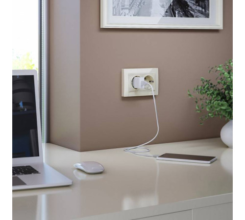 Розетка двойная с заземлением, без рамки Werkel слоновая кость W1172003 (слоновая кость)