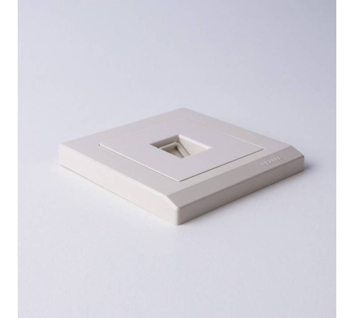 Розетка Ethernet RJ-45 без рамки Werkel Слоновая кость W1181003