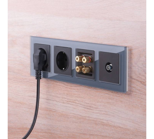 ТВ-розетка проходная без рамки Werkel черные матовый W1184008