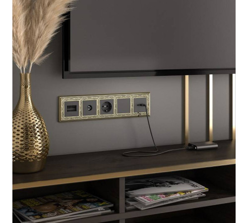 ТВ-розетка проходная без рамки Werkel черные матовый W1184008