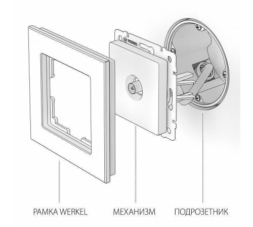 ТВ-розетка проходная без рамки Werkel черные матовый W1184008