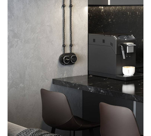 Выключатель двухклавишный с корпусом Werkel Vintage хром, черный W5822051