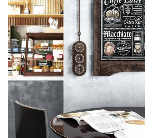 Выключатель двухклавишный с корпусом Werkel Vintage мокко, хром W5822052