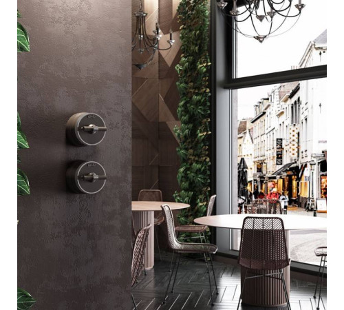 Выключатель двухклавишный с корпусом Werkel Vintage мокко, хром W5822052