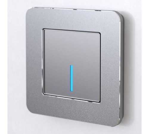 Рамка на 1 пост Werkel Platinum алюминий W0012606