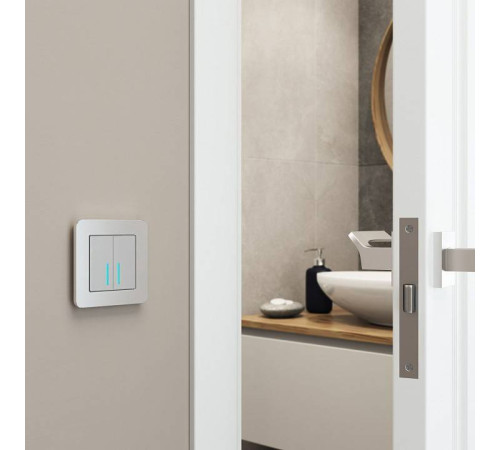 Рамка на 1 пост Werkel Platinum алюминий W0012606