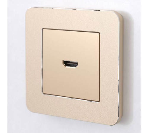 Рамка на 1 пост Werkel Platinum шампань W0012611