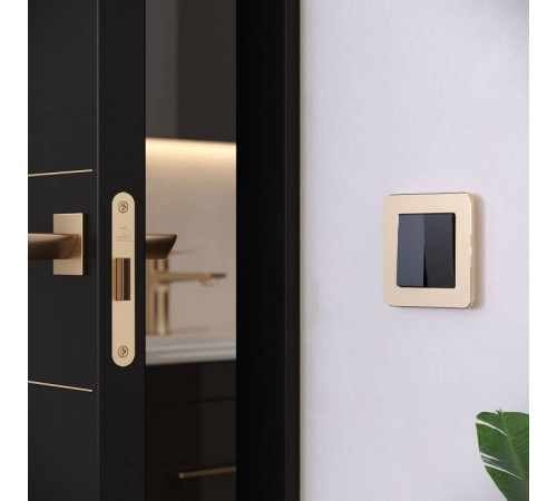 Рамка на 1 пост Werkel Platinum шампань W0012611