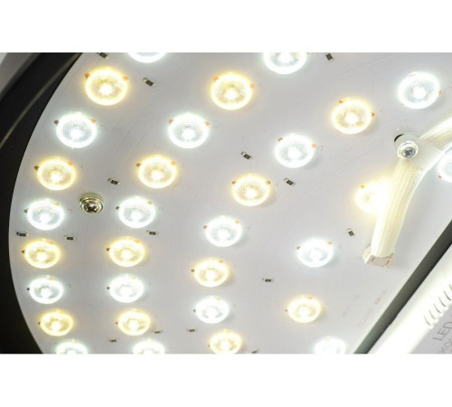 Подвесная люстра Zortes Aven ZRS.01243.01