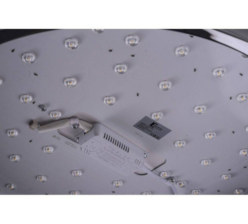 Накладной светильник Zortes Gimpel ZRS.1209.16