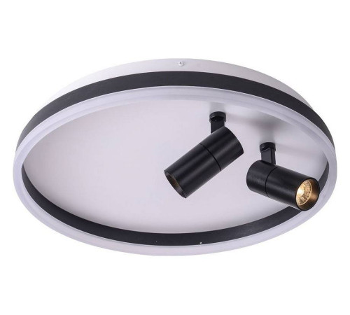 Накладной светильник Zortes Raizy ZRS.1888.01