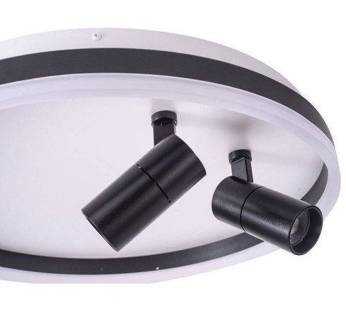 Накладной светильник Zortes Raizy ZRS.1888.01