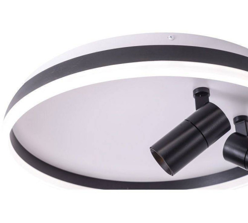 Накладной светильник Zortes Raizy ZRS.1888.01