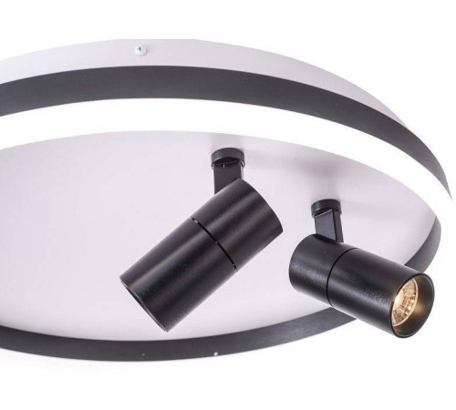 Накладной светильник Zortes Raizy ZRS.1888.01