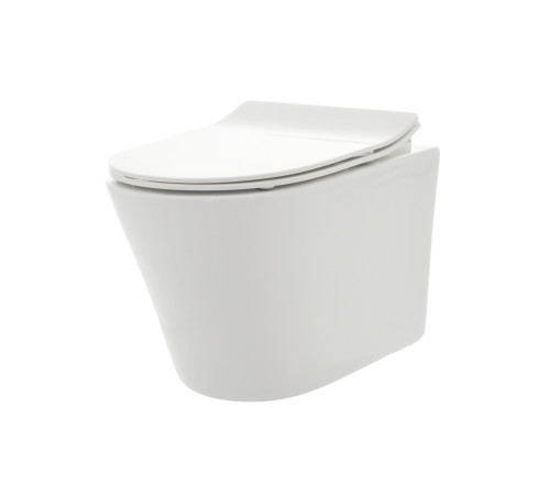 Унитаз подвесной AQUAme Rimless с сиденьем SoftClose 515x355x365 мм AQM2001