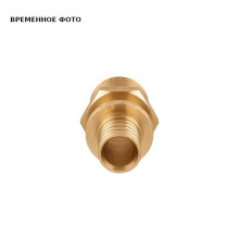 Муфта аксиальная Pro Aqua 20x1/2 НР латунь AX1702012