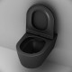 Унитаз подвесной AM.PM Func FlashClean с сиденьем микролифт матовый C8F1701MBSC