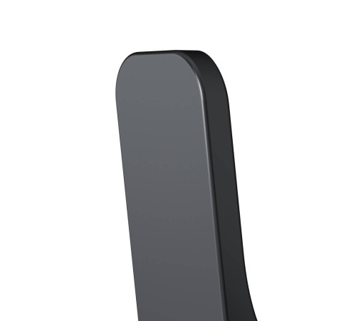 Набор крючков для полотенец AM.PM Func 2 шт черный A8F35622