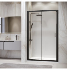 Душевая дверь RGW PA-14B 1600 мм черный 41081416-14