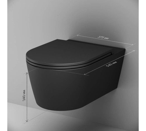 Унитаз подвесной AM.PM Func FlashClean с сиденьем микролифт матовый C8F1701MBSC