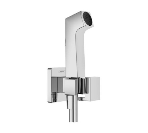 Гигиенический душ Hansgrohe Bidette E EcoSmart хром 29231000