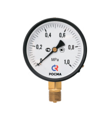 Манометр радиальный РОСМА ТМ-310Р.00 63 мм 1 МПа G1/4 ТМ-310P.00
