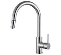 Смеситель для кухни Alveus Delos-P с выдвижным изливом 1129021