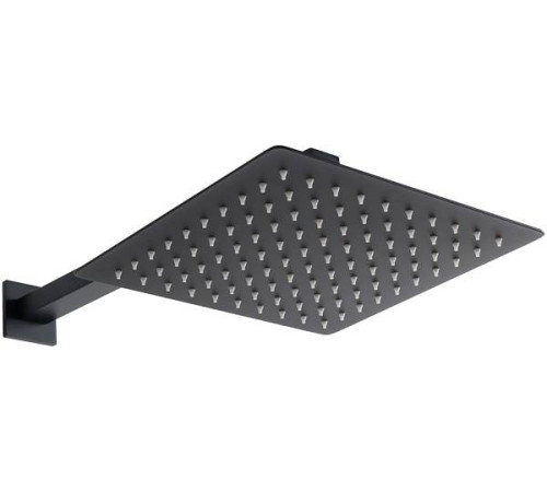 Верхний душ Allen Brau Infinity черный матовый 5.21019-31