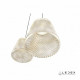 Подвесной светильник iLedex Flora WD8007-3 CR