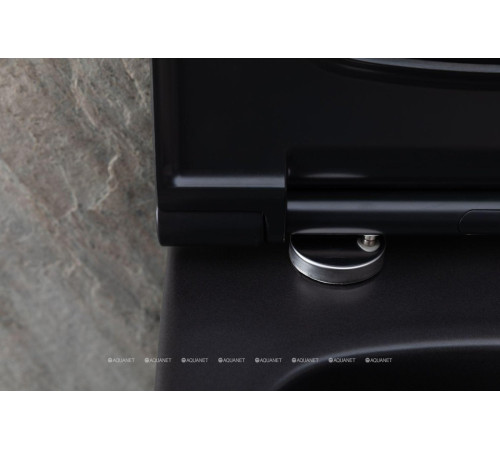 Унитаз подвесной Allen Brau PRIORITY 1 Rimless без сиденья 545x360 мм 4.31001.31