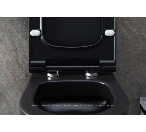 Унитаз подвесной Allen Brau PRIORITY 1 Rimless без сиденья 545x360 мм 4.31001.31