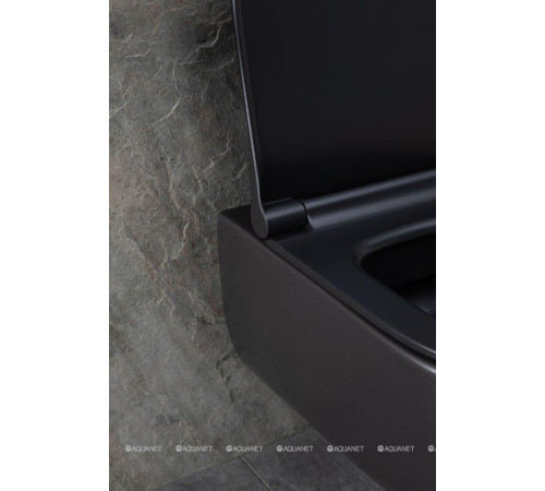 Унитаз подвесной Allen Brau PRIORITY 1 Rimless без сиденья 545x360 мм 4.31001.31