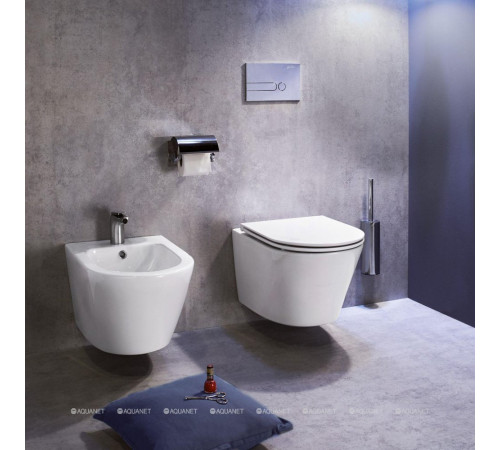 Биде подвесное Jacob Delafon Rodin EMJ0002-00