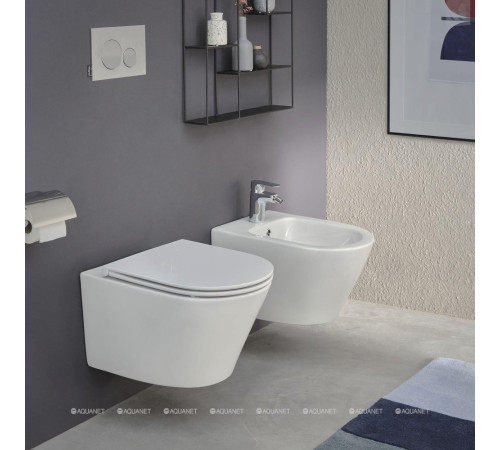 Биде подвесное Jacob Delafon Rodin EMJ0002-00