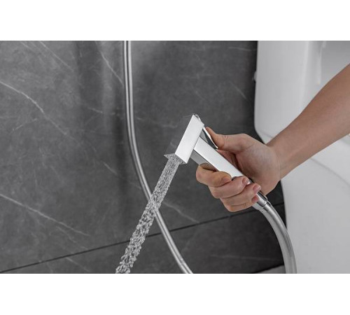 Гигиенический душ со смесителем Allen Brau Infinity с внутренней частью хром 5.21005-00