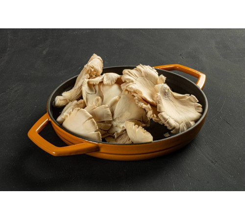 Сковорода с двумя ручками Hascevher KTV 16 см Yellow A622516