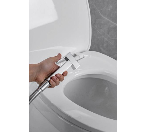 Гигиенический душ со смесителем Allen Brau Infinity с внутренней частью хром 5.21005-00