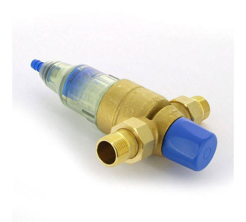 Фильтр промывной BWT Avanti RF 1 100 мкм с обратной промывкой 810202