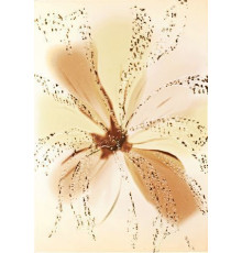 Декор Atem Alexa желтый 27.5х40 см YL