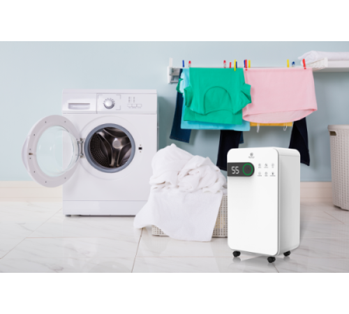 Осушитель воздуха ROYAL CLIMA PACIFIC Studio 12 л/сутки RD-PC12-EW