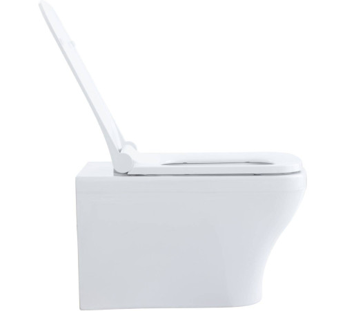 Чаша подвесного унитаза Allen Brau Infinity 34x53.5x35.5 см белый 4.21011.20