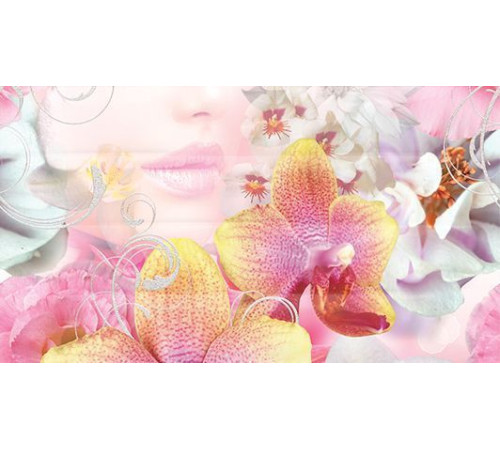 Декор Ceradim Vision Panno B 25x45 см КПН16VisionB