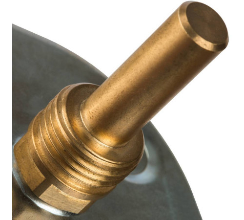 Термометр биметаллический Watts F+R801 с погружной гильзой 80 мм 10005944