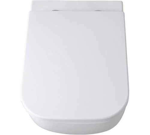 Унитаз подвесной Allen Brau Infinity безободковый 36x51x35 см белый 4.21004.20