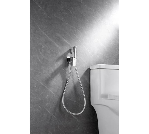 Гигиенический душ со смесителем Allen Brau Infinity с внутренней частью хром 5.21005-00