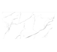 Керамогранит Ceradim Statuario Wonderful 60x120 см белый полированный 9999304576