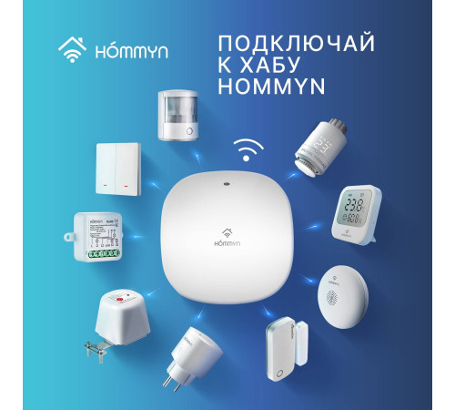 Модуль реле HOMMYN Zigbee 2 канала без нейтрали RLZBNN02