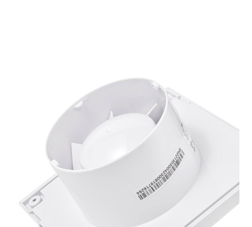 Вентилятор вытяжной Ballu BAF-FW 100 N с антимоскитной сеткой 1606093