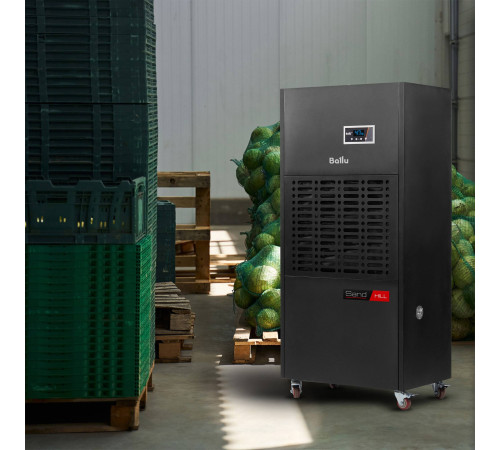 Осушитель воздуха промышленный Ballu Sand hill BDH-240LE колонный